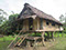 Asia - Papua New Guinea - house on stilts - jungle