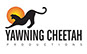 Yawning Cheetah film production Steven Ballantyne explorer